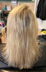 Before extensions